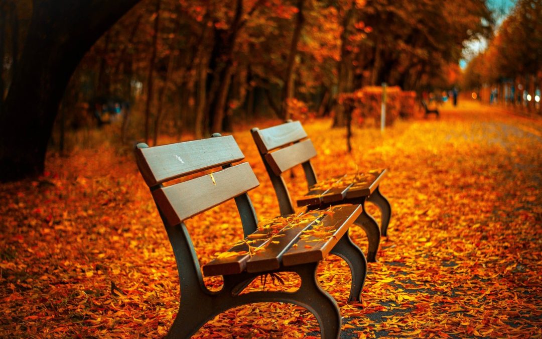 Herbstgruß und Ausblick mit weiteren Informationen