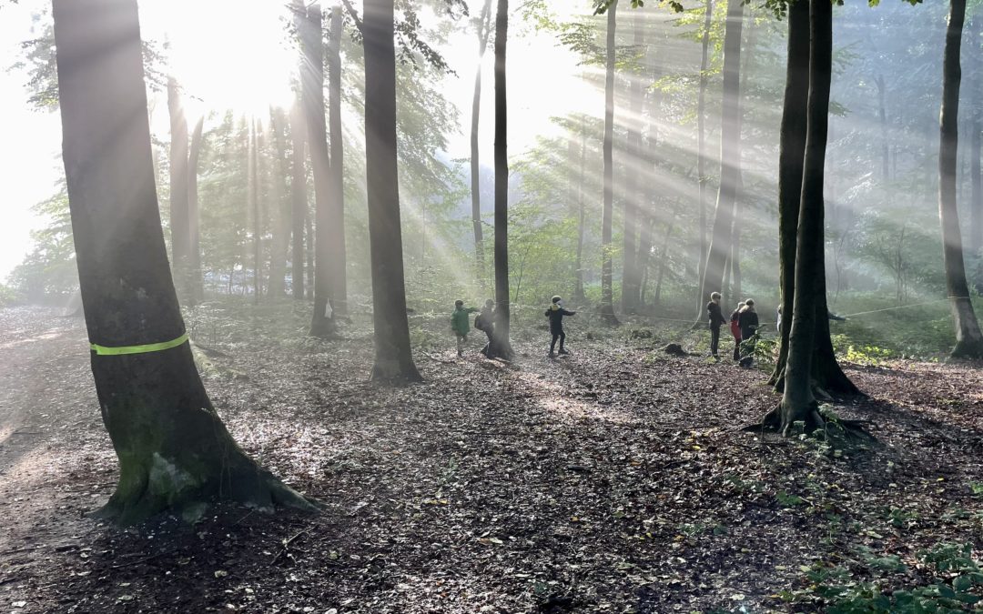 Rückblick: Projektwoche 2022