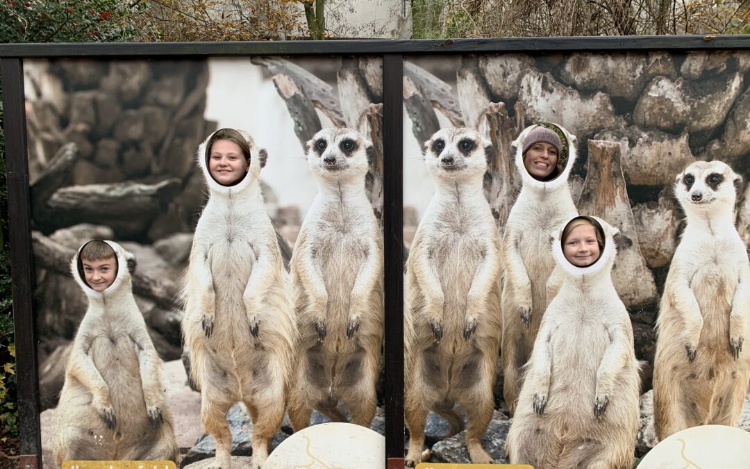 Wettbewerb „biologisch!“ – Einladung in den Krefelder Zoo