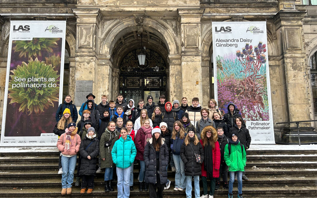 Gesamtschule Mittelkreis: MINT-freundlich und digital – Anmeldephase läuft