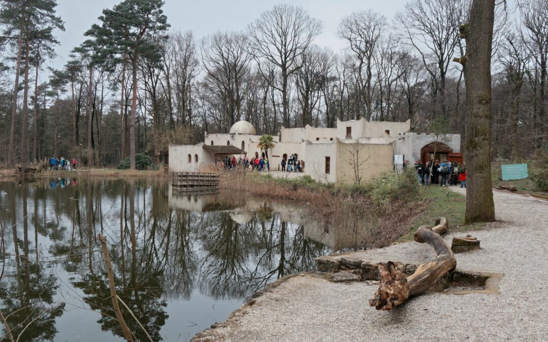 Besuch im Museum Orientalis