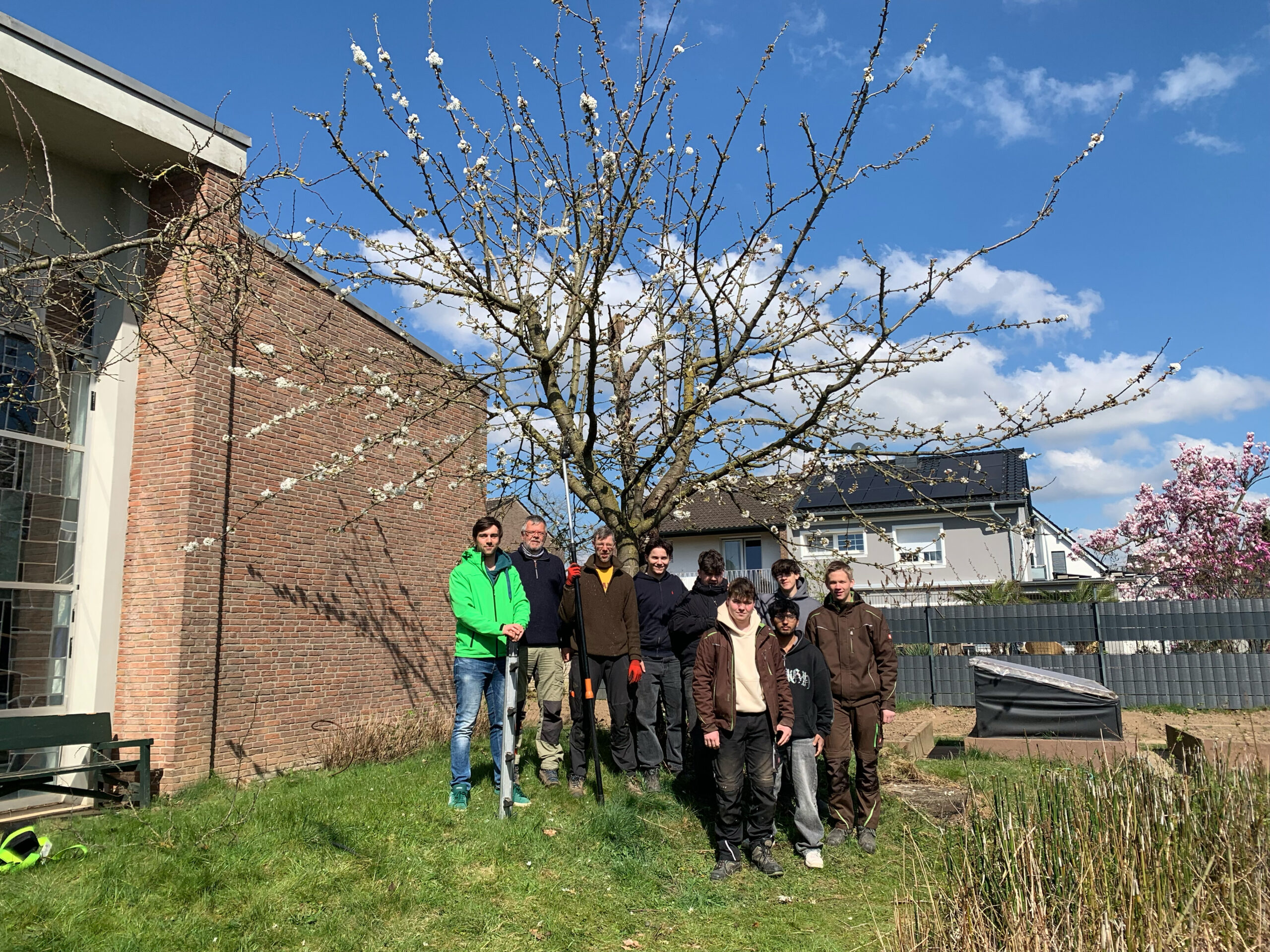Obstbaumschnitt-Lehrgang im Schulgarten